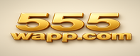 555w জিলি